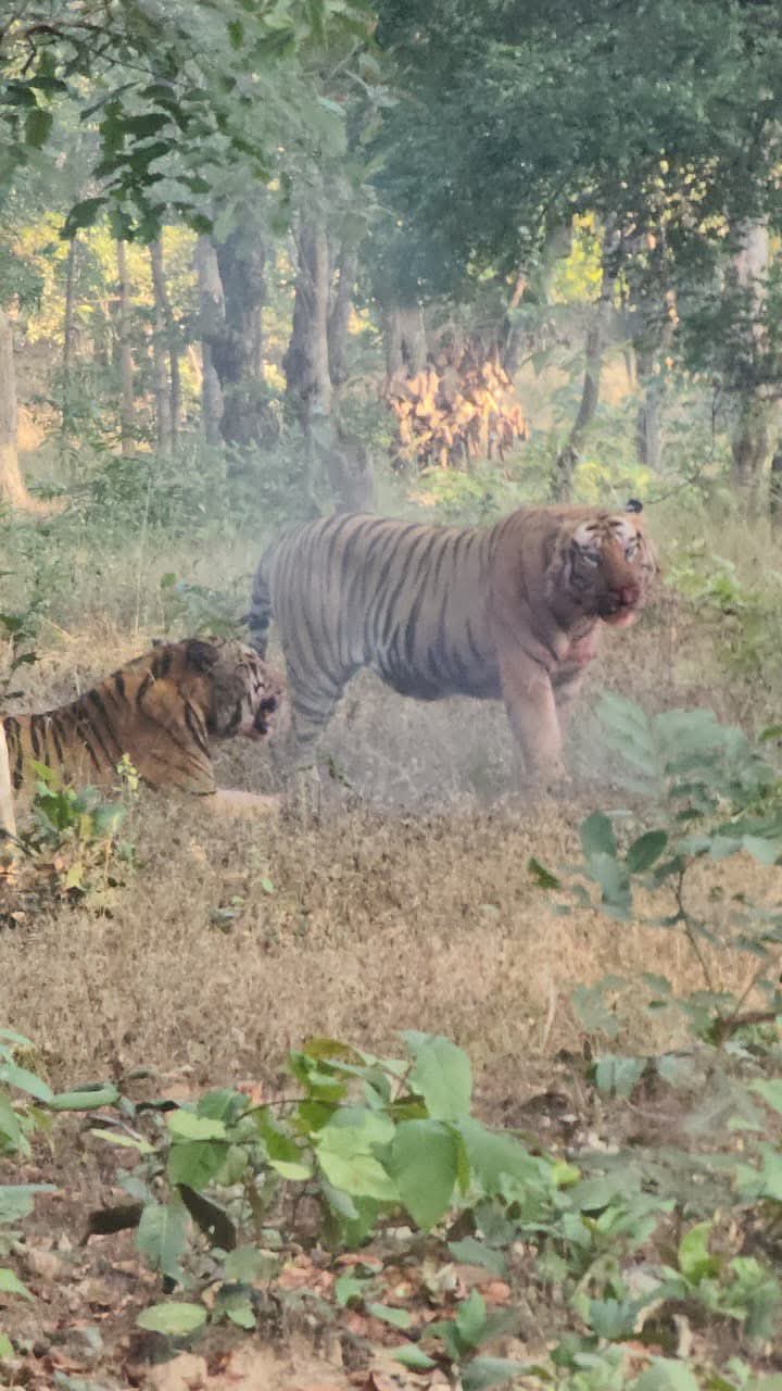 FB_IMG_1767201620906